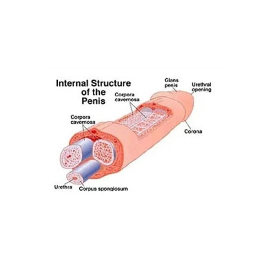 Male Penis Extender Stretcher