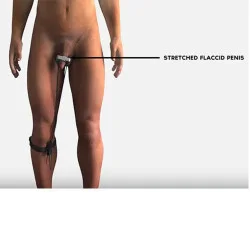 Grow Max Penis Stretcher Extender Grow Max Penis Stretcher Extender